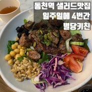 동천역 샐러드 맛집 별당키친 일주일에 4번 먹어 버렸다!