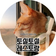 유자 리뷰 :: 토실토실 레스토랑 목도리 사은품 후기, 고양이 생식 토실토실레스토랑