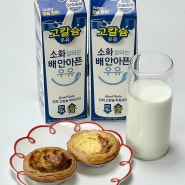 유당 제거 우유 소화 잘되는 우유 추천 '남양 소화잘되는 배안아픈 락토프리 고칼슘 우유'