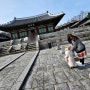 아이와 함께 산책 잊혀진 서울의 5대 궁궐 경희궁