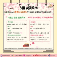 [행사] 벚꽃축제에서 문화누리카드로 푸드트럭 & 플리마켓 이용하세요~!
