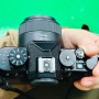 니콘 Zf 카메라 바디캡 렌즈 니콘 Z 40mm f/2의 결과물은? (SE는 아님)