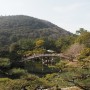 [2024 다카마쓰] 1400그루의 소나무가 장관인 리츠린공원 (栗林公園)
