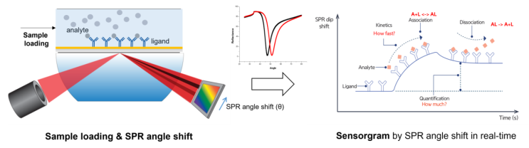 Surface Plasmon Resonance (SPR) System : iMSPR-PRO(iCLUEBIO) : 네이버 블로그