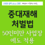 중대재해처벌법 50인미만에도 적용-기업중대사고 배상책임보험 (심의필)