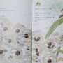 [내 인생의 환경책] 봄 하면 떠오르는 그림책 2권 "개구리가 알을 낳았어" & "연남천 풀다발"