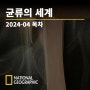 [이달의 목차] 내셔널지오그래픽 2024년 4월호 <균류의 세계>
