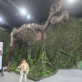 청량리 아이와 가볼만한 곳 움직이는 공룡 박물관 다이노스얼라이브