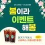 [4월 온라인강좌 앵콜 이벤트] 패키지 구매 시 스타벅스 아메리카노 2잔 증정