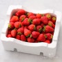 딸기 세척법 씻는 법/딸기 냉장 보관법 제철 딸기 냉동 보관법/딸기 고르는 법