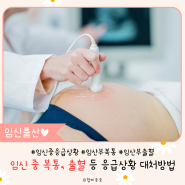 임산부 응급상황 임신 중 복통 출혈 양수터짐 대처방법