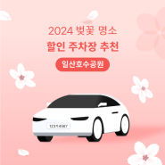 2024 경기 벚꽃 명소 "일산호수공원" 할인 주차장 추천 (심야권 3,000원~)🌸