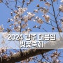 2024 경주 대릉원 벚꽃축제 실시간 개화상황