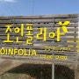 파주 화훼 단지 '조인폴리아 JOINFOLIA' | feat. 양주 화훼 단지