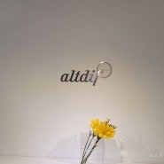 홍대 알디프 티 바(ALTDIF) 2024년 봄 코스 - 알디프 사전 봄: 꽃 도감