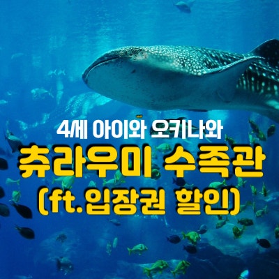 4세 아이랑 오키나와, <츄라우미 수족관> 할인권 구매 방법...