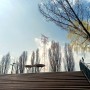 서울 한강공원 선유도 공원 가는 길 주차장 벚꽃 돗자리