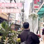 [종로꽃시장] 귤 나무와 미스김라일락 구매 후기 :: 종로 꽃시장 영업시간 및 주차, 가격