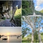 해외여행 추천 베트남 여행지 깟바섬 국립공원 동굴투어
