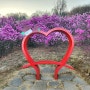 부천 가족들과 봄나들이 가볼만한곳 -부천 원미산 진달래꽃축제