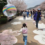 진해 벚꽃 경화역 경화역공원 벚꽃길 실시간 개화상황