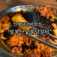 [경기/이천] 찐 인생닭갈비 "설봉산숯불닭갈비"