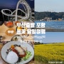 [정산] 부산출발 포항 봄꽃 당일여행 코스 추천