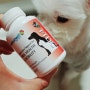 강아지 관절 영양제 솔벳 1-TDC 와 함께 건강관리해봐요!