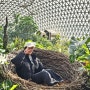 경남 거제 아이랑 가족여행코스 거제식물원 정글돔 새둥지