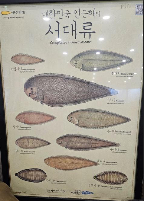 서대 : 네이버 블로그