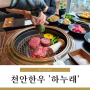 천안 한우 고기집 성정동 하누래 점심특선