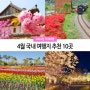 4월 국내 여행지 추천 10곳 :: 봄나들이 꽃구경 가볼만한곳 (벚꽃명소/겹벚꽃/튤립/철쭉)
