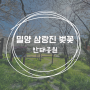 밀양 삼랑진 벚꽃 안태공원 개화상황 (24.3.30)