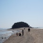 인천 선재도 : 바닷길이 열리는 목섬 주차정보 선재도 물때표