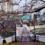 [주말걷기] 석촌호수 벚꽃보러(3.30 오후)