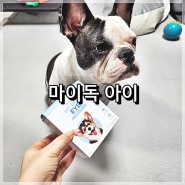 <강아지 눈영양제> 강아지 눈물자국 개선 영양제 마이펫프로젝트 마이독 아이!!