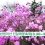 진달래꽃축제, 부천원미산 진달래동산(3.30~31)