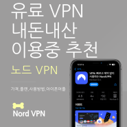아이폰 VPN 추천 노드 VPN 내돈내산 1년 사용후기