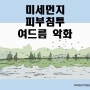 미세먼지의 여드름 악화와 피부침투