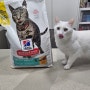 고양이 사료 힐스 퍼펙트웨이트 고양이 다이어트사료 급여후기 3탄
