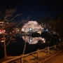 교토 마루야마공원 벚꽃, 날씨 최신