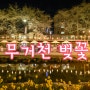 울산벚꽃명소 남구 무거천 벚꽃축제 3월 4월 울산가볼만한곳 추천