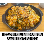 [FOOD] 사장님이 직접 개발하신 매운뚝배기짜장 오창 '대왕성손짜장' 식사 후기