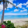 괌 투몬비치 스노클링 방해자 - 피카소 트리거 피쉬! 물리지 않는 방법 (feat. 타이탄 트리거 피쉬)