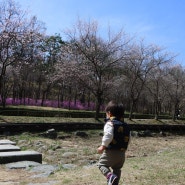 오산 꽃구경 - 물향기 수목원