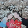 대구 벚꽃명소 꽃보라동산 (3월 31일 실시간 개화상황)