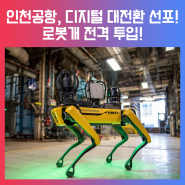 인천공항, 디지털 대전환 선포! 폭발물 탐지 로봇 에어봇 & 스타봇 등장!