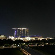 싱가포르 여행준비: SG카드 입국신고서 어플 ICA 작성방법 (최신정보) + myICA mobile 다운로드 링크!