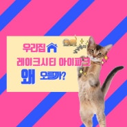 【레이크시티 아이파크 왜 오르는가?】