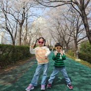 광주 양산호수공원 벚꽃 데이트 다녀왔어요.(2024 개화 절정시기. 주차장. 8살6살 아이와)